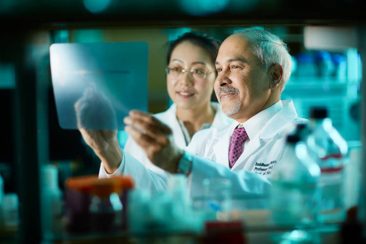 Healthcare professions reviewing lab results